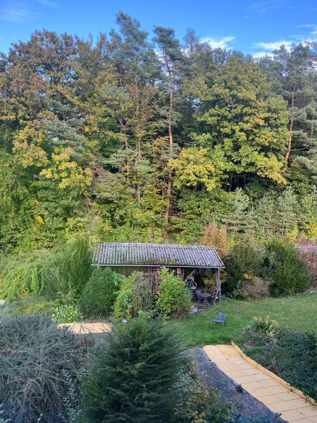 Franziska's - In Ruhiger Lage Direkt Am Wald Marburg