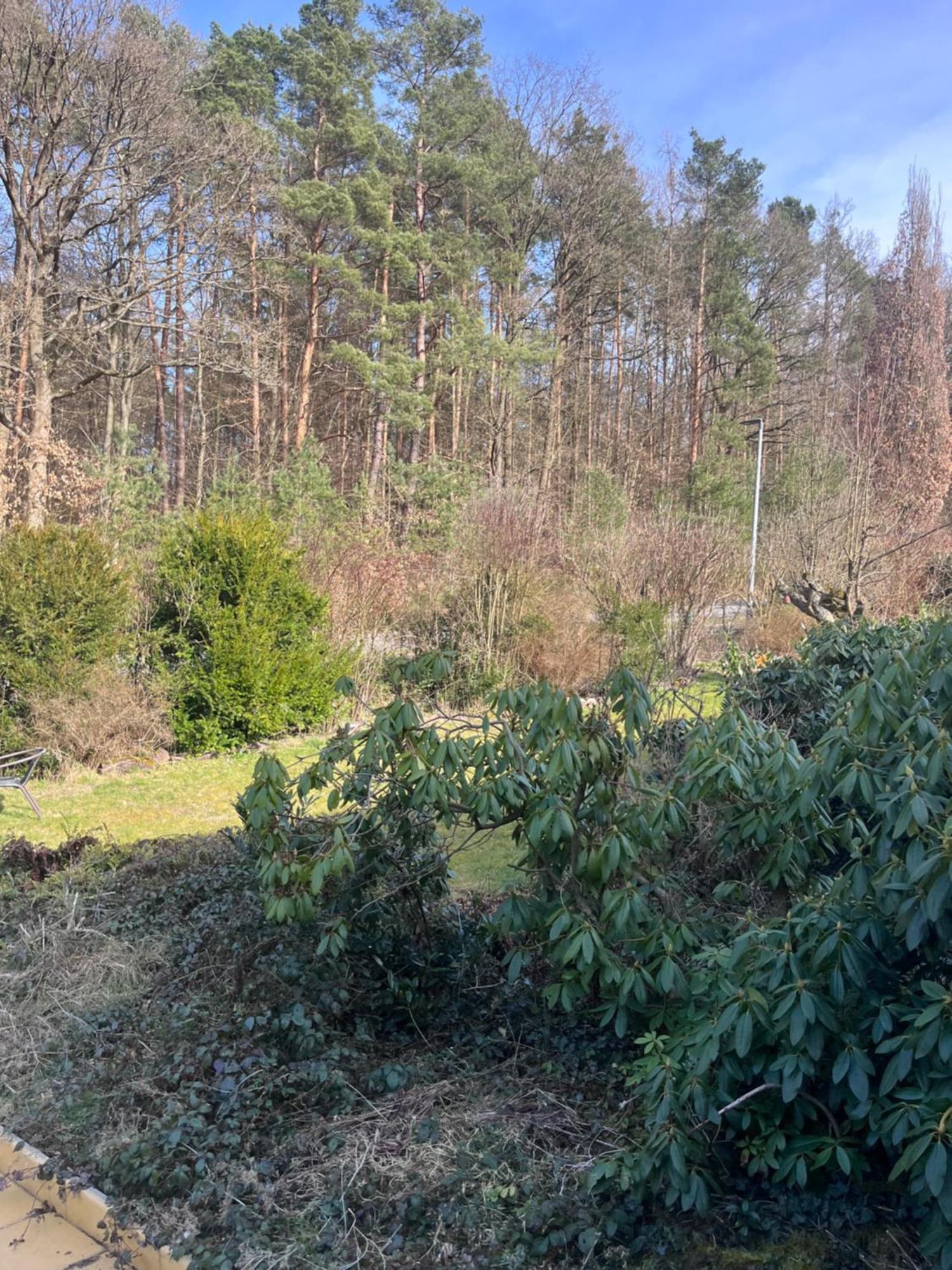Franziska's - In Ruhiger Lage Direkt Am Wald Apartment